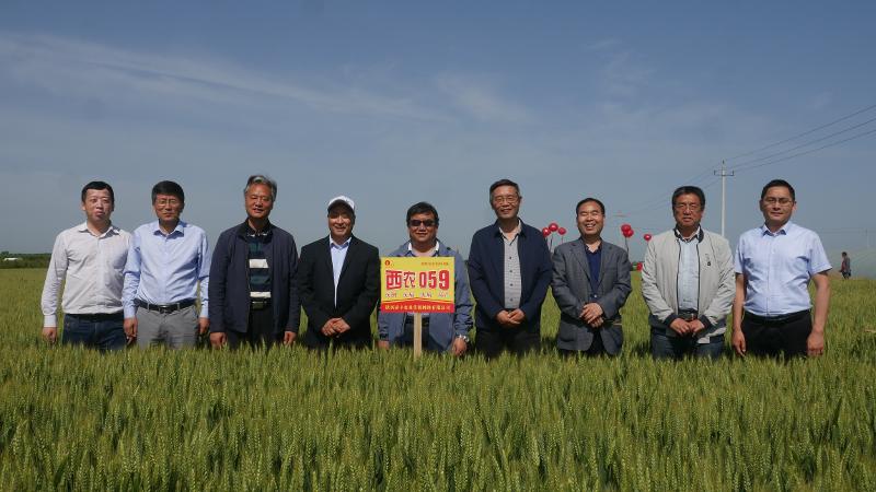 P1150704.JPG P1150704.JPG