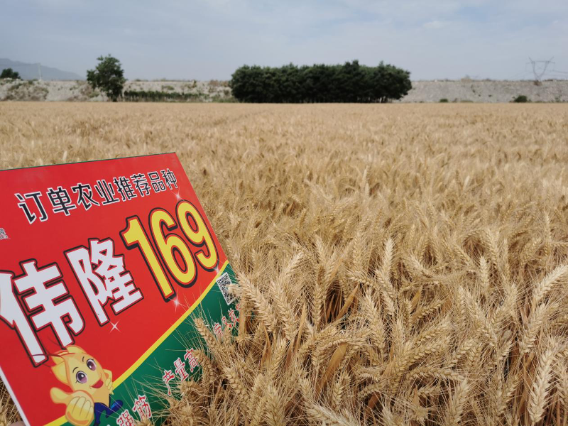 圖片2.png 圖片2.png