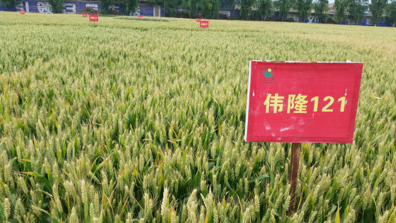 圖片8.png 圖片8.png