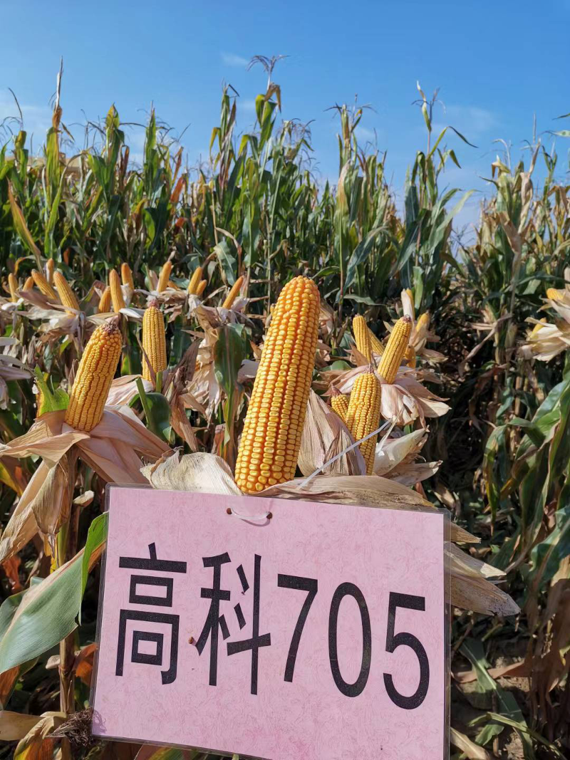 圖片76.png 圖片76.png