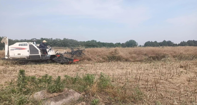 圖片1.png 圖片1.png