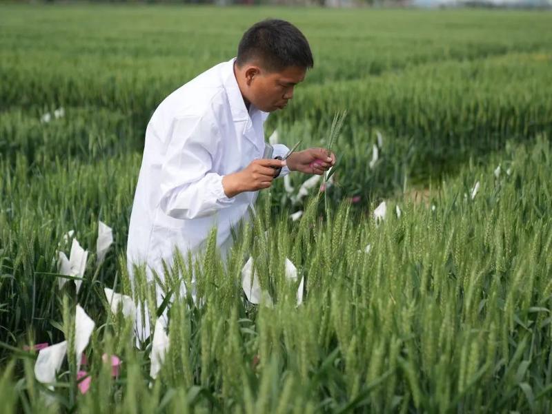 微信圖片_20220711161056.jpg 微信圖片_20220711161056.jpg