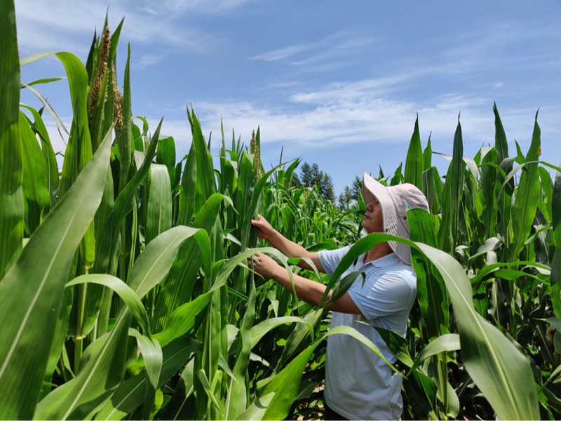 圖片1.png 圖片1.png