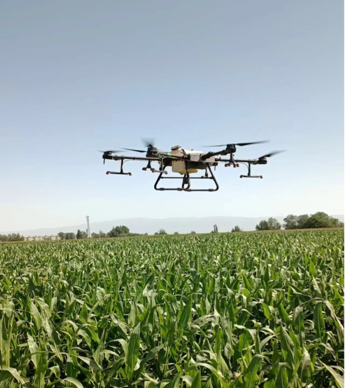 圖片2.png 圖片2.png