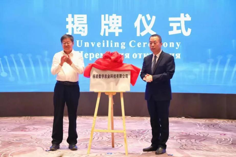 圖片3.png 圖片3.png