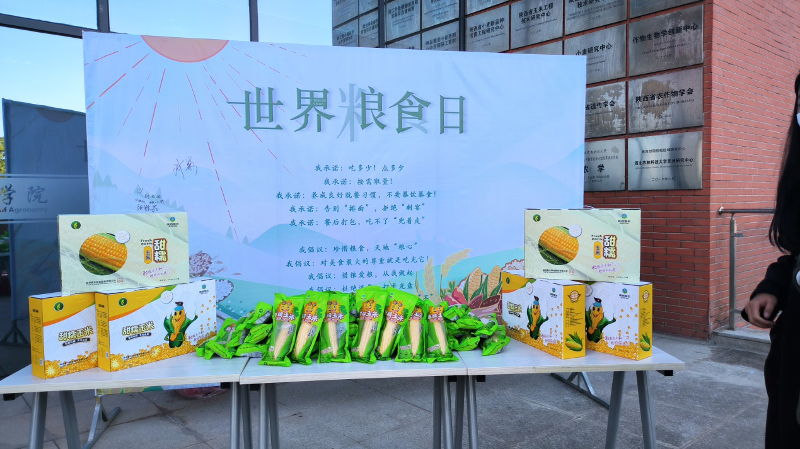 圖片6.png 圖片6.png