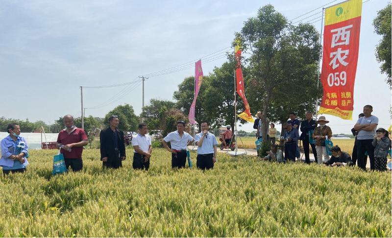 圖片11.jpg 圖片11.jpg