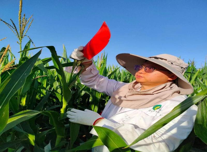 圖片13.jpg 圖片13.jpg