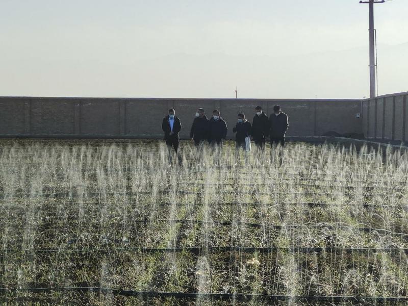 圖片7.jpg 圖片7.jpg