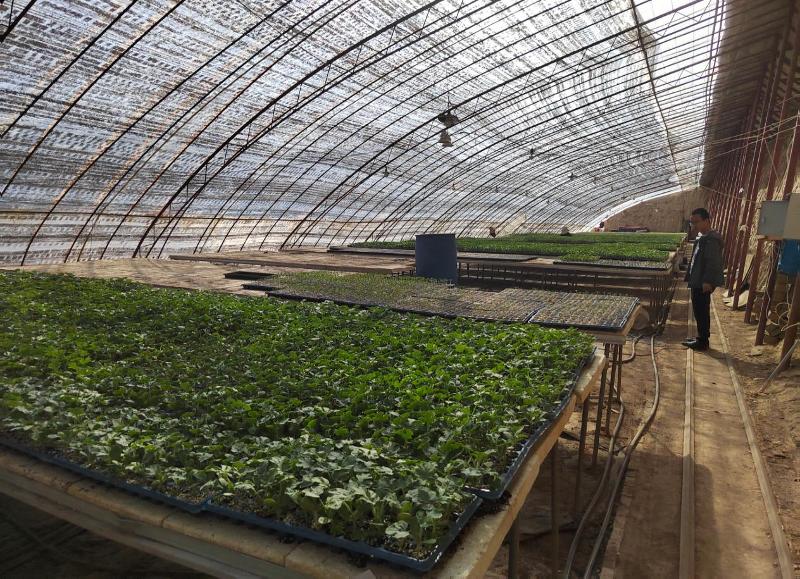 圖片3.jpg 圖片3.jpg