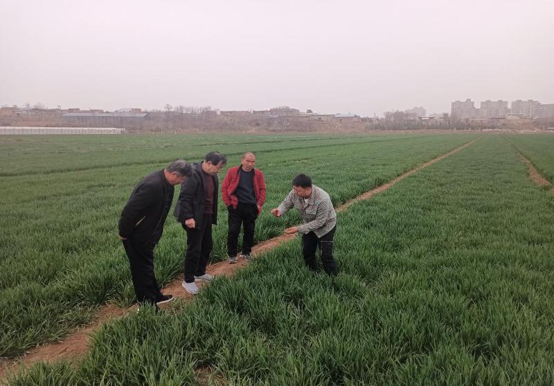 圖片4.jpg 圖片4.jpg