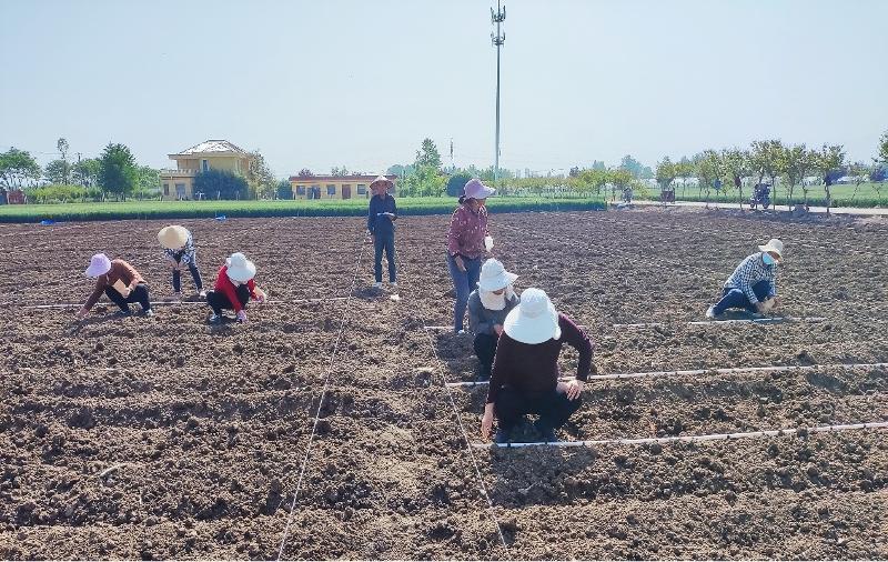 圖片1.jpg 圖片1.jpg