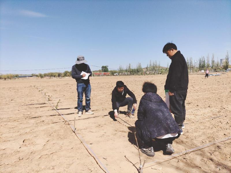 圖片2.jpg 圖片2.jpg