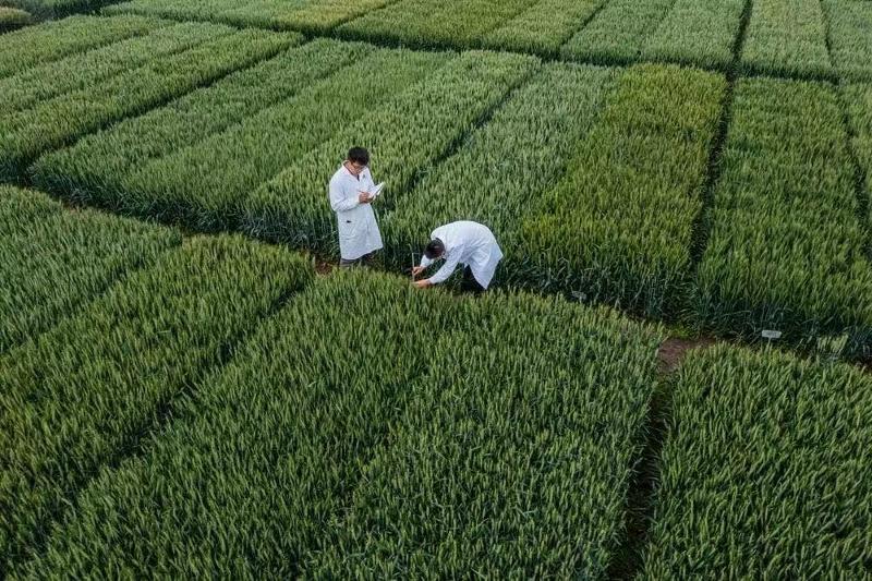 微信圖片_202305100946151.jpg 微信圖片_202305100946151.jpg