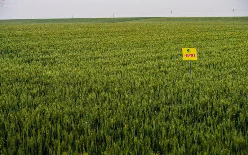 微信圖片_202305100946152.jpg 微信圖片_202305100946152.jpg