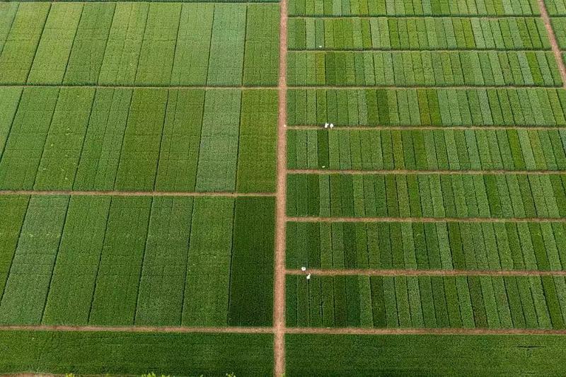 微信圖片_202305100946153.jpg 微信圖片_202305100946153.jpg