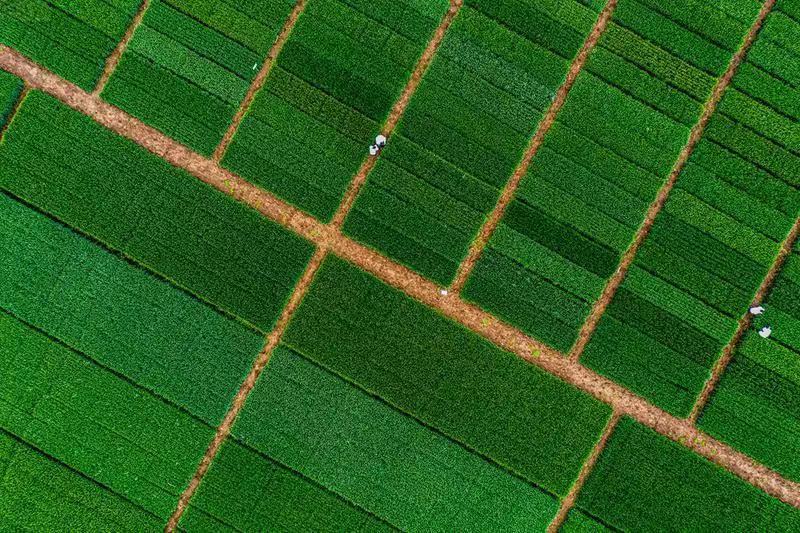 微信圖片_202305100946156.jpg 微信圖片_202305100946156.jpg