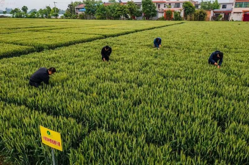 微信圖片_202305100946158.jpg 微信圖片_202305100946158.jpg