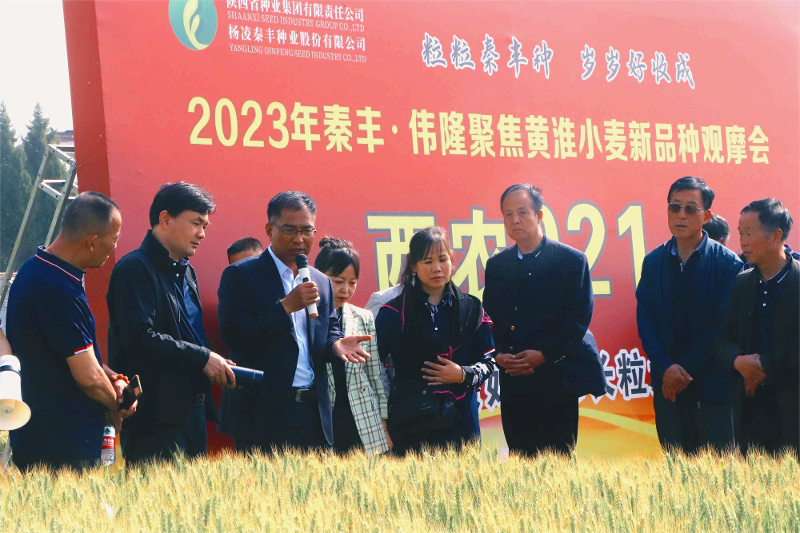 20230525093000873-55-080c3.png 20230525093000873-55-080c3.png