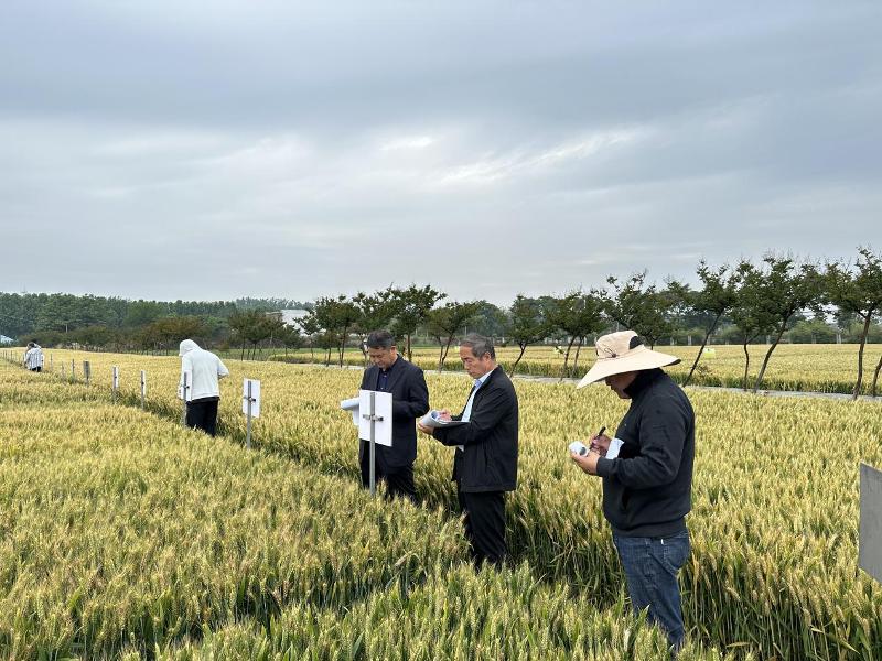 圖片2.jpg 圖片2.jpg