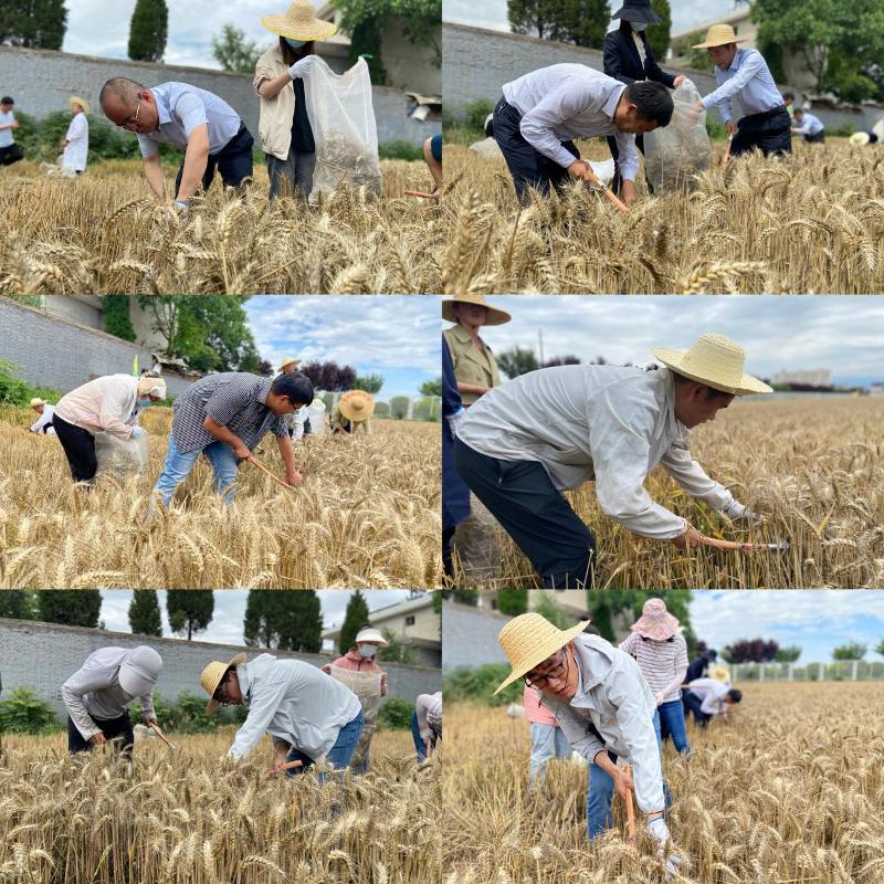 圖片2.jpg 圖片2.jpg