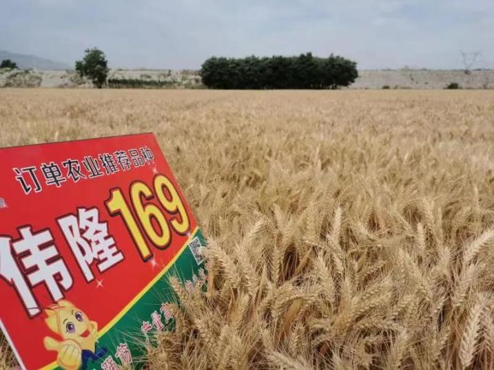 1129685496_16864600414361n.jpg 1129685496_16864600414361n.jpg