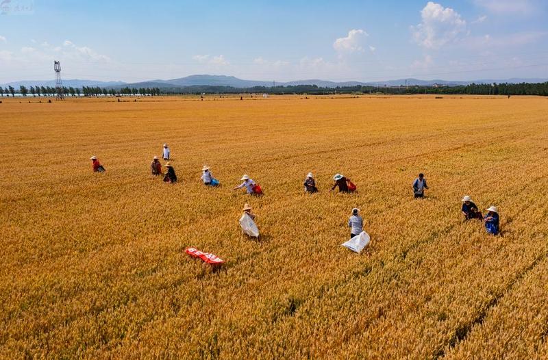 10221383_b1a52572-aeac-43c4-8aa8-62aef70082ae.jpg 10221383_b1a52572-aeac-43c4-8aa8-62aef70082ae.jpg