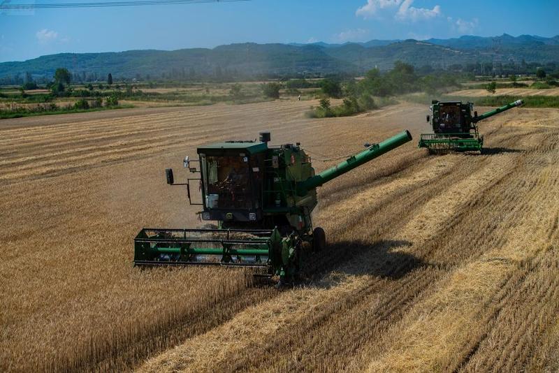 10221383_3b29956e-d38b-4a75-93c9-8bb3e01fa1b1.jpg 10221383_3b29956e-d38b-4a75-93c9-8bb3e01fa1b1.jpg