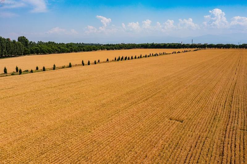 10221383_d97bf88e-d9c5-4c2b-878d-d96b69e6ca61.jpg 10221383_d97bf88e-d9c5-4c2b-878d-d96b69e6ca61.jpg