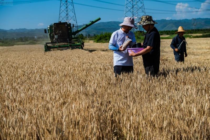 10221383_e2a6a247-4a4a-41e1-bc8b-16d7f0c43908.jpg 10221383_e2a6a247-4a4a-41e1-bc8b-16d7f0c43908.jpg