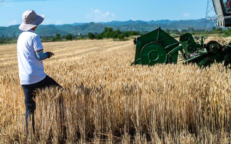 10221383_be847313-4364-4ad4-94c1-28d8e7cf01e9.jpg 10221383_be847313-4364-4ad4-94c1-28d8e7cf01e9.jpg