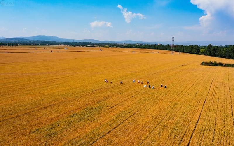 10221383_9a79682e-90f0-4e57-aed0-ebffdd23816a.jpg 10221383_9a79682e-90f0-4e57-aed0-ebffdd23816a.jpg