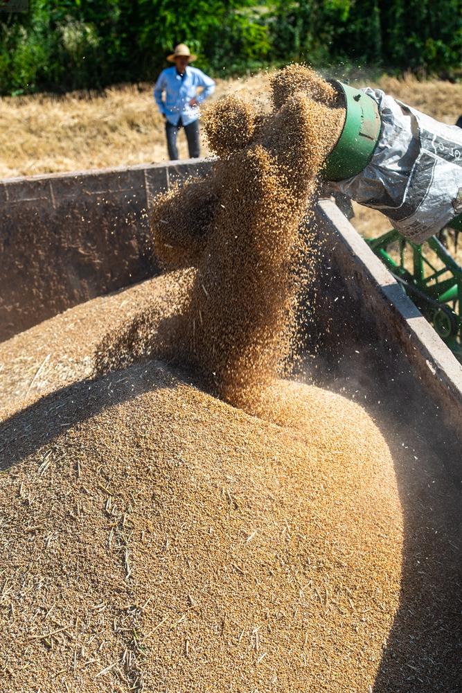 10221383_20425764-9376-48f3-96af-303533d4f113.jpg 10221383_20425764-9376-48f3-96af-303533d4f113.jpg