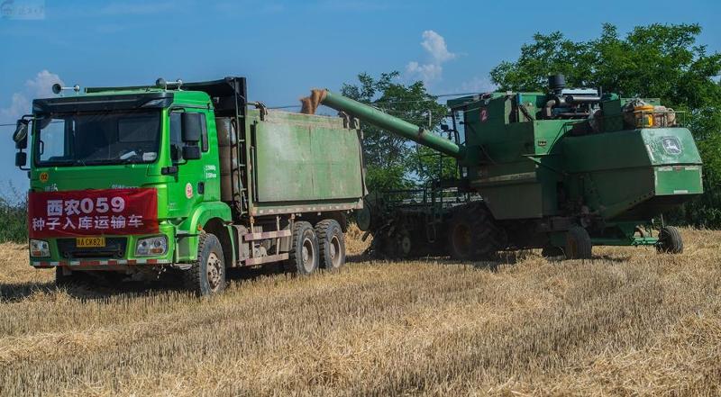 10221383_580c3fe4-77ac-47eb-8f9c-8115b822d349.jpg 10221383_580c3fe4-77ac-47eb-8f9c-8115b822d349.jpg