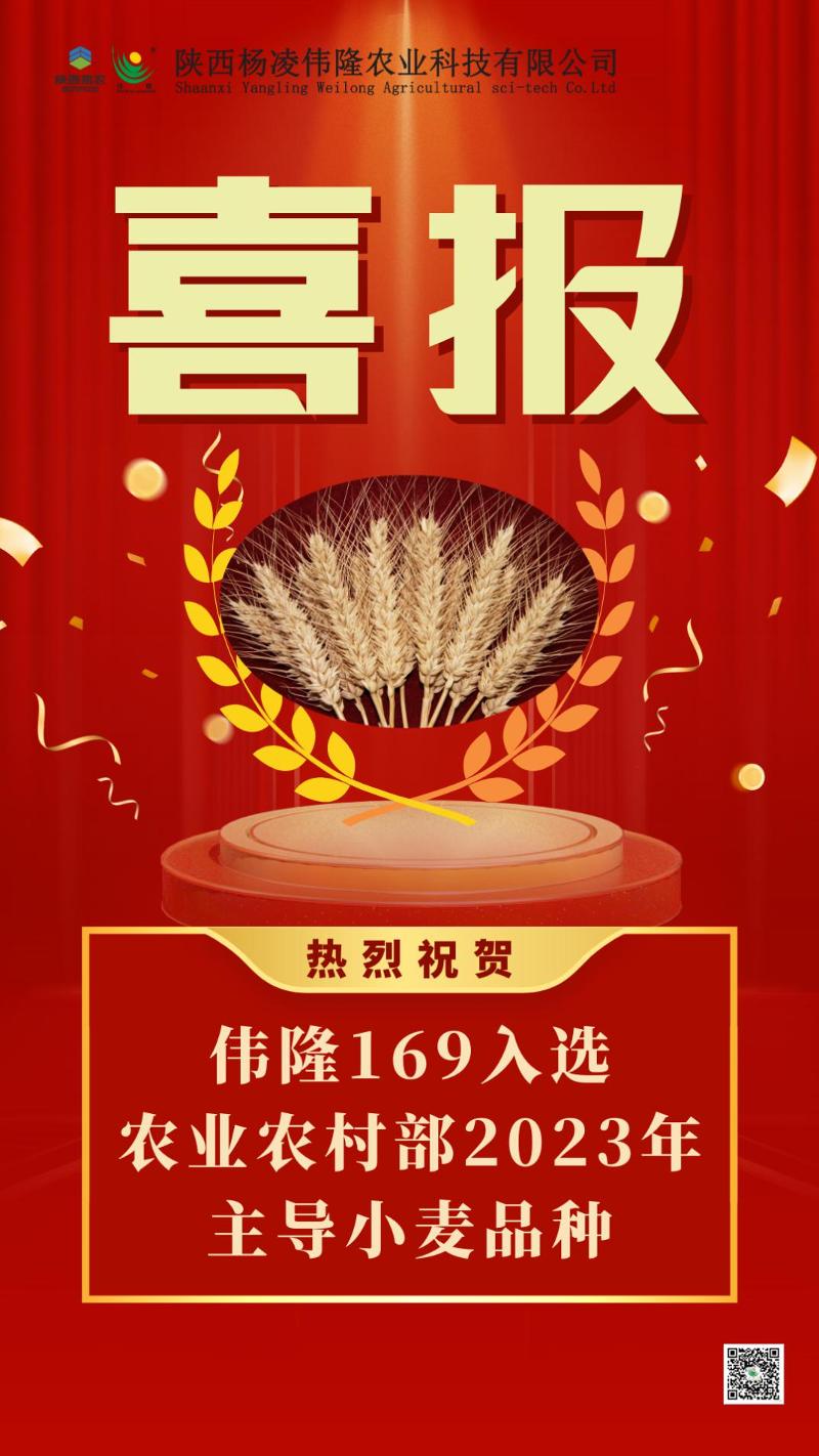 圖片1.jpg 圖片1.jpg