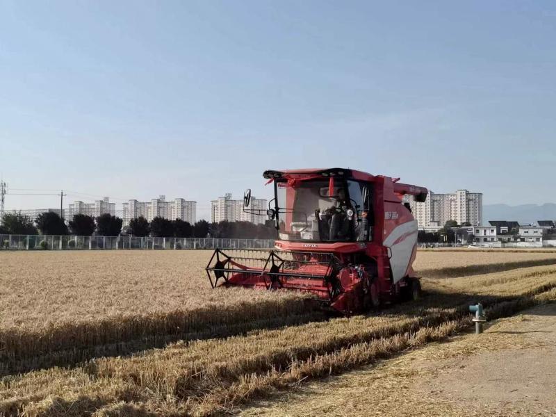 圖片4.jpg 圖片4.jpg