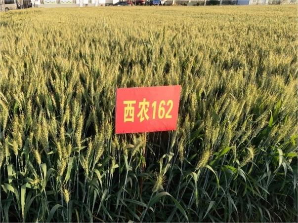 圖片1.jpg 圖片1.jpg