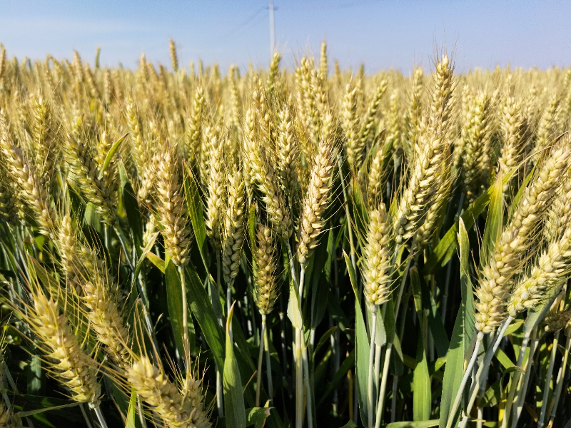 微信圖片_20230808104905.png 微信圖片_20230808104905.png