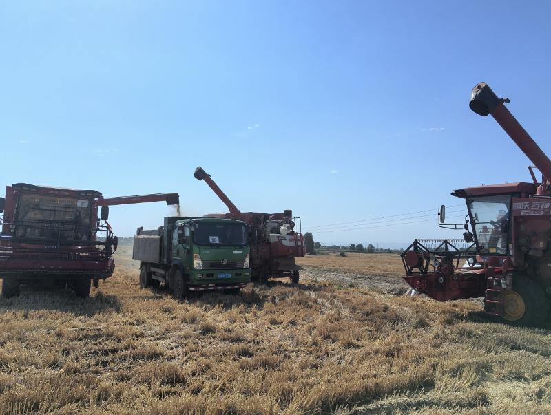 楊凌偉隆 偉隆169 (1).png