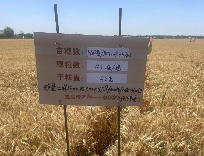 楊凌偉隆 偉隆169 (2).png